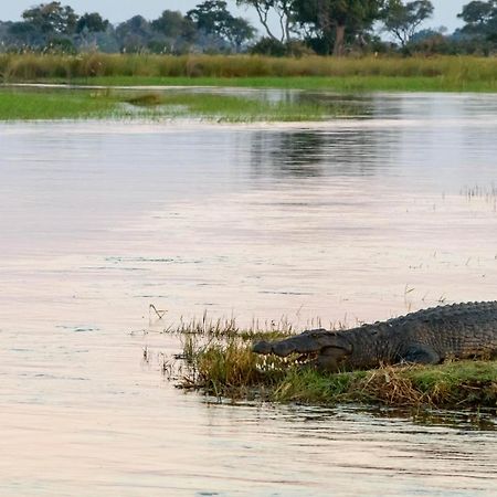 ホテルKubu Queen Houseboat Shakawe エクステリア 写真