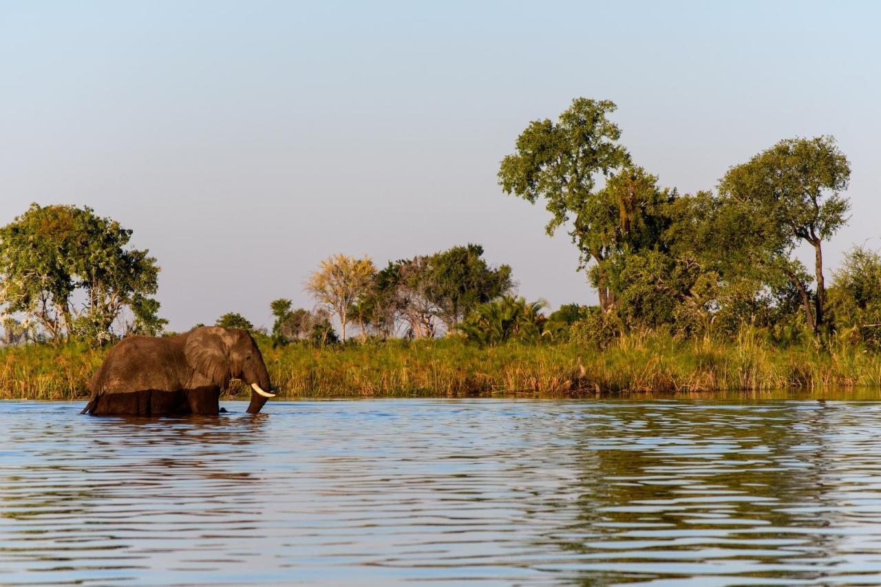 ホテルKubu Queen Houseboat Shakawe エクステリア 写真